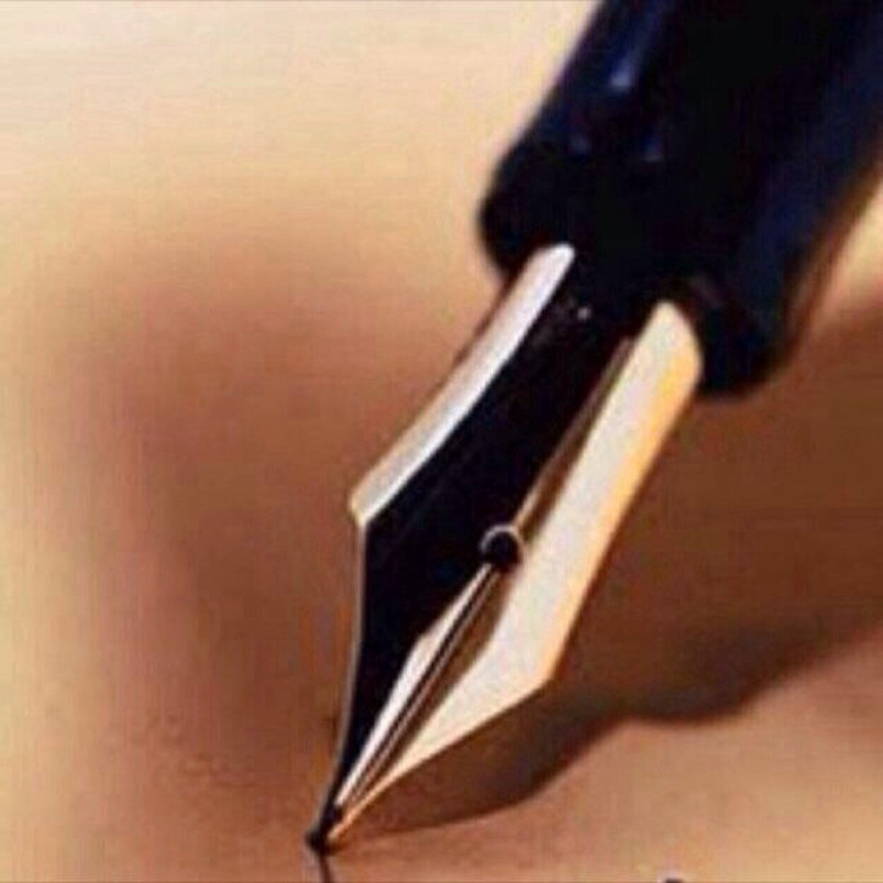 الخاص مهمل بليز
