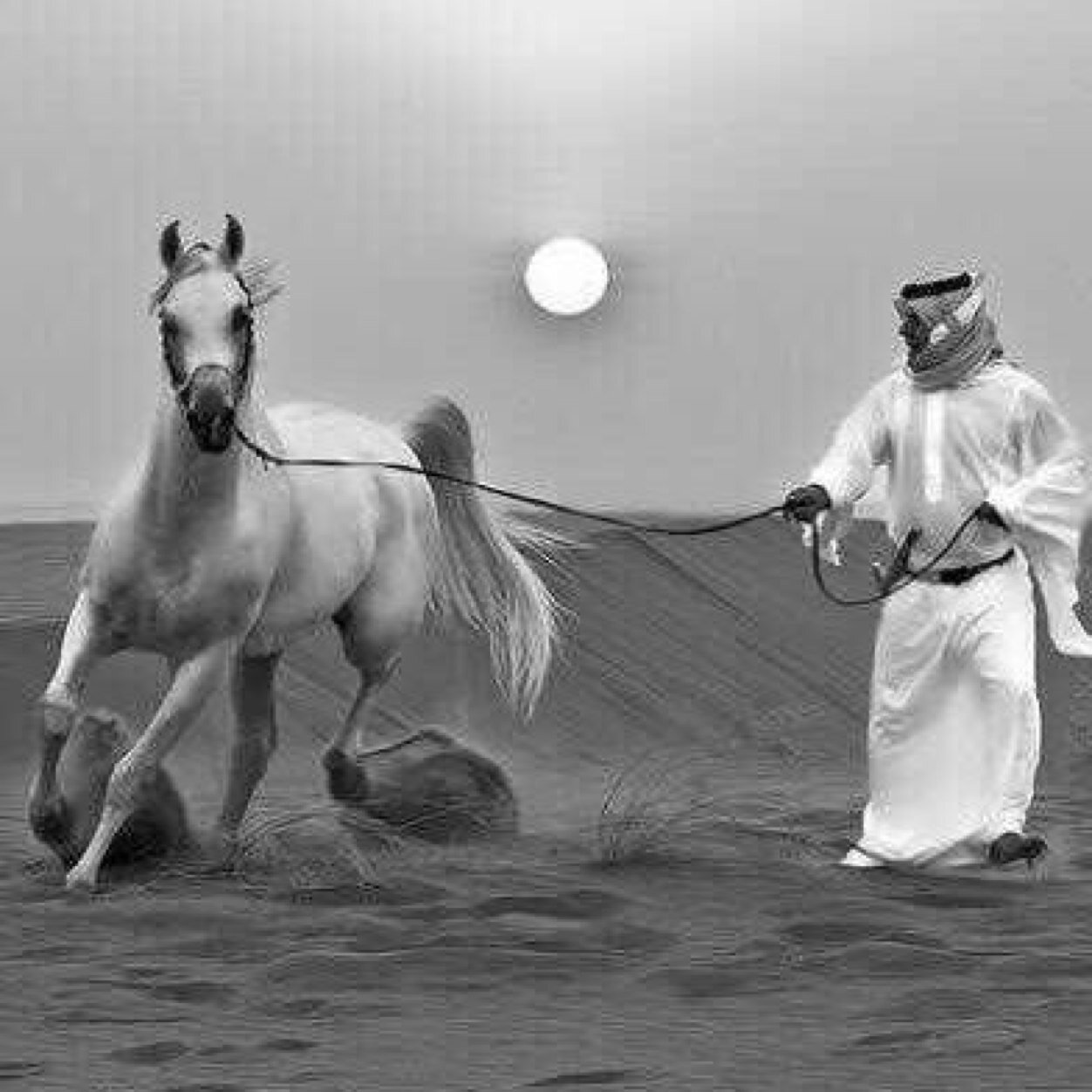 اللي يتابعني حي الله قدره ومقامه على الكيف نقهويه فنجال من الدله واللي راح كسبنا ذوقه واحترامه لاطاح من عينا ولا جانا منه. مذله