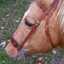 Tammy Waters - @tammywaters87 - Twitter