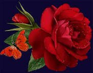 Hajarah101010's profile picture. حللوني..وانتم بحل (سبحان الله..والحمدلله..ولا إله الإ الله..والله اكبر..ولاحول ولا قوة الإ بالله)