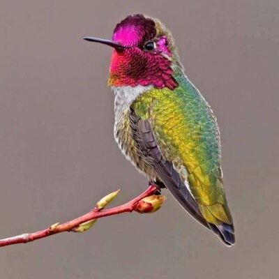Biologa Maestra en Ciencias Ambientales