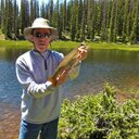 Richard Folsom - @FolsomRL - Twitter