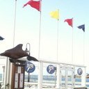 Laura Cronan - @LauraCronan - Twitter