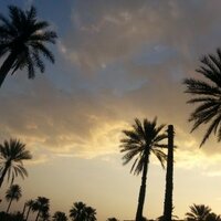لاضي البرق (@9e97d6c7664d46b) 's Twitter Profile