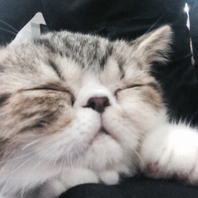 kikieki7's profile picture. 