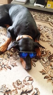 geleiguent's profile picture. 22.08.1963 :13-Russland,16-Ukraine,22 -?-Deutscland