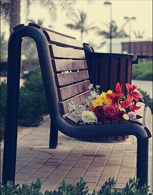 ‏‏فتاه ابحث عن نصفي الاخر بكل شفافية .طيبه.رومنسيه.متأنقة .احب المرح واعشق الحياة الهادئه