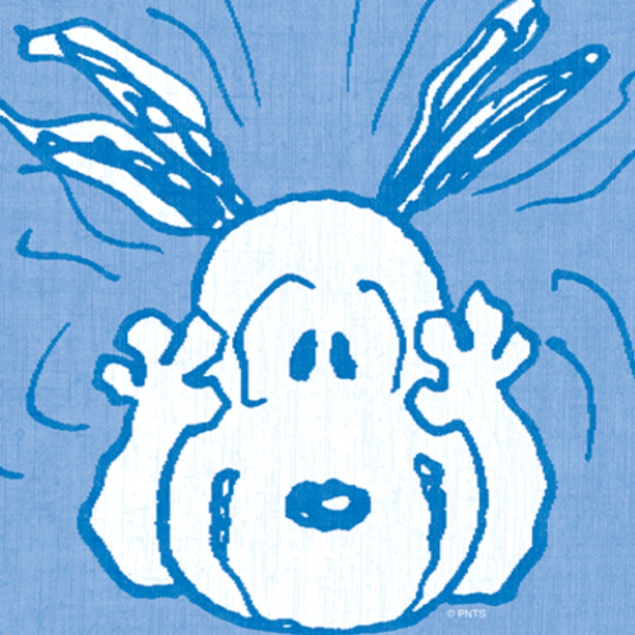 deweystoney's profile picture. 