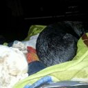 Christopher Dover - @cdover667 - Twitter