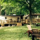 Pam fleming - @pamfleming208 - Twitter