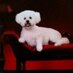 Bits53 (@bits336) Twitter profile photo