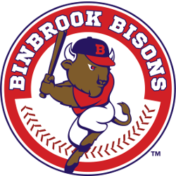 Growing baseball in Binbrook, Ontario with five divisions for ages 4-13.