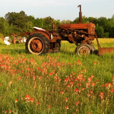 farmer, pilot, all around do it yourselfer, always learning, enjoying life