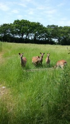 amy_woodger's profile picture. 