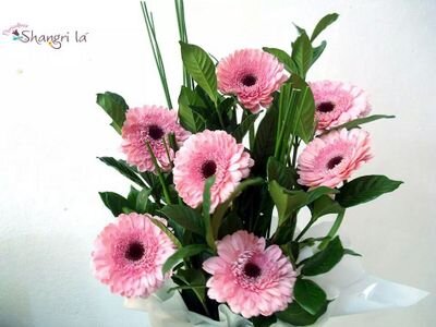 somos uma empresa há 22 anos no mercado no ramo de Flores e Decoração.
obtenha mais informações em nosso site http://t.co/hQHXqqTTtu