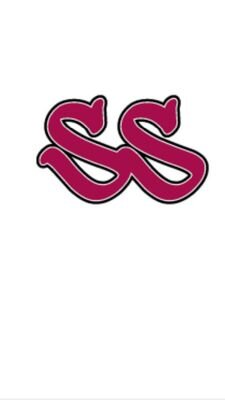 SportyShawty81's profile picture. Supporting the dreams, goals & aspirations of the Female Sports & Fitness Enthusiast, Super Mom, Woman CEO & Boss Ladies everywhere-Girl Power Just Got A Boost!