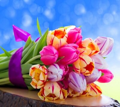 LuveniaE's profile picture. 