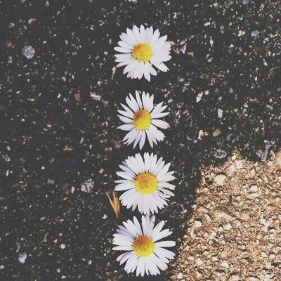 jdihd000's profile picture. 