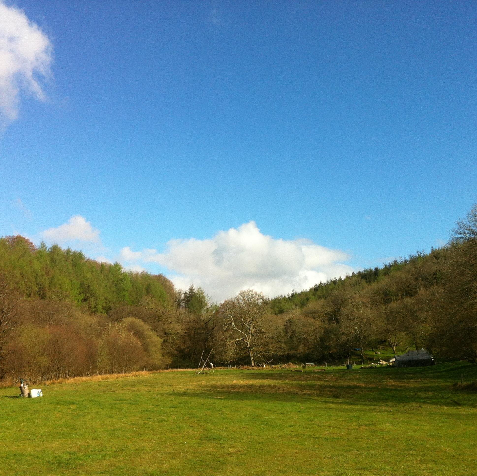 The Hillyfield is a woodland restoration project committed to community & environmental benefit whilst helping restore a woodland culture on Dartmoor