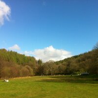 Hillyfield (@thehillyfield) 's Twitter Profile