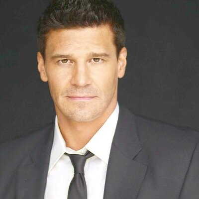FBI Special Agent, Dad of Parker, Partner of Dr. Brennan. (Character set during season 5. In no way affiliated with Bones or Fox, just made for fun)