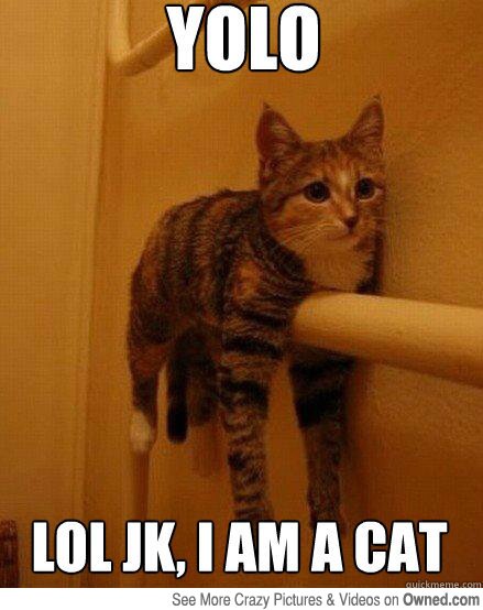 summercrazyyolo's profile picture. Profite a fond de la vie, #YOLO everyday ^^