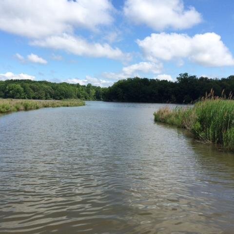 DataBay_MD's profile picture. 