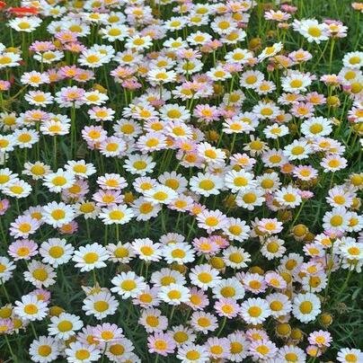 _neverminder's profile picture. love ya