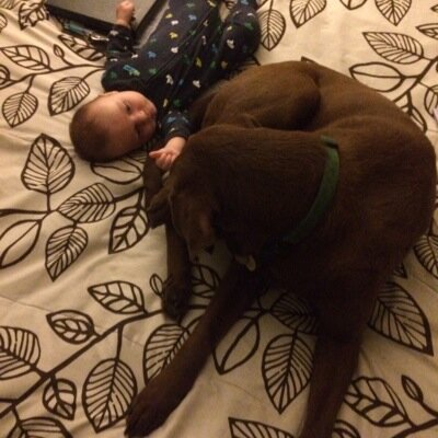 AirMcNairy's profile picture. 