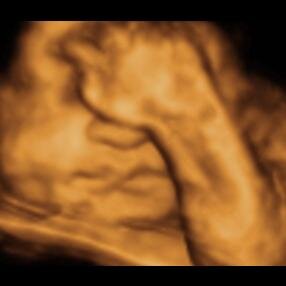 JKlein12's profile picture. 