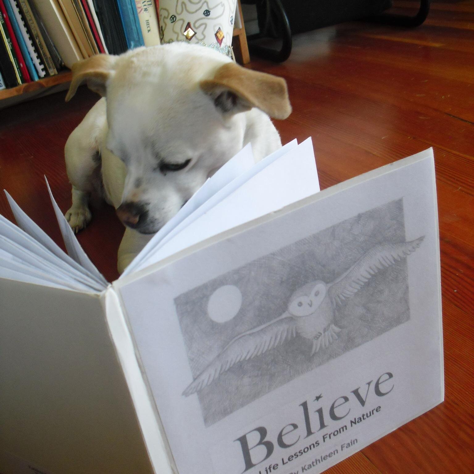 Children's Book Author and Illustrator