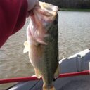 Terry Mooney - @HorseShow_Dad - Twitter