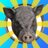 Magidres's profile image