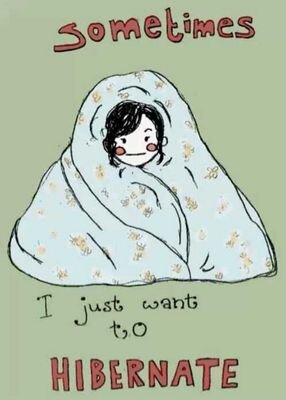 5SOS and 1D are my life :3