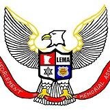 Minnesota LEMA Profile