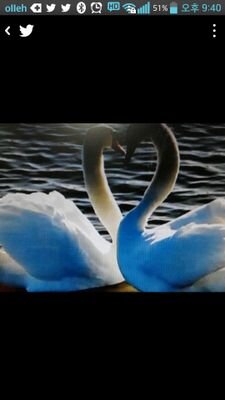 zayulove6370's profile picture. 주계정@free351