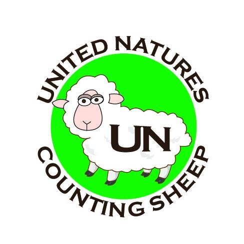 Hypo-allergenic Pillows & Bedding,all handcrafted in Wexford using only Mother Nature's best fibres.
Cover: 100% Cotton.
Fill: 100% Sheep's Wool.