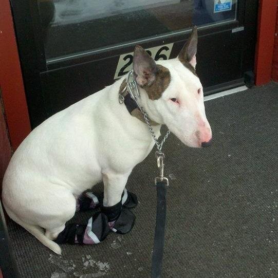 BlueLineEMT48's profile picture. 