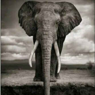 Passionate about the youth! Trying to add value....all the time! MBA student. Coach. Lover of Nature. 4x4 enthusiast.