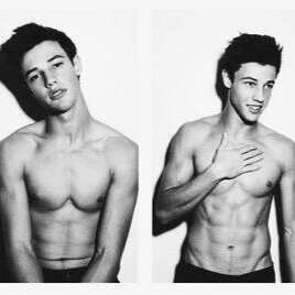 Shir's propriety. @aaronlpgdr 's limit. {julia}