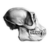 Zoic Studios (@zoicstudios) Twitter profile photo Zoic Studios (@zoicstudios) Twitter profile photo