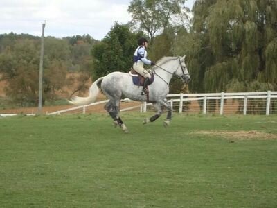 DebbieRecoskie's profile picture. 