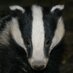 NEEBG (@thebadgergroup) Twitter profile photo NEEBG (@thebadgergroup) Twitter profile photo