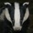 TheBadgerGroup's profile image