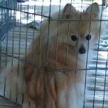 CarolJSla's profile picture. 