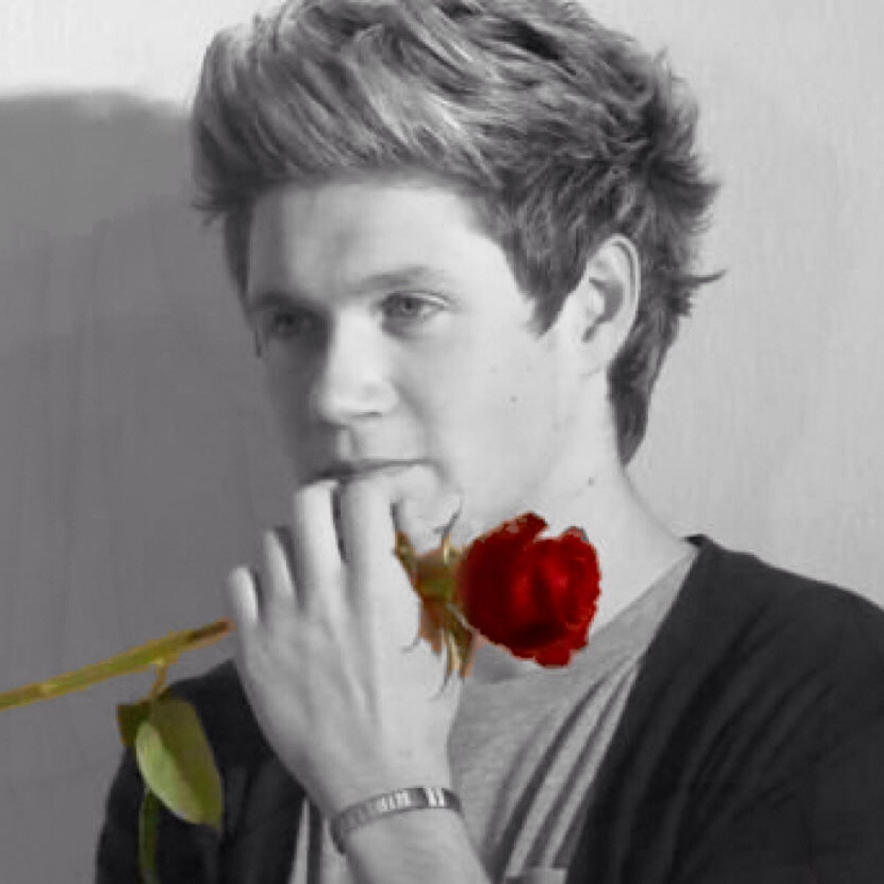 I love One Direction! Niall is my hero
