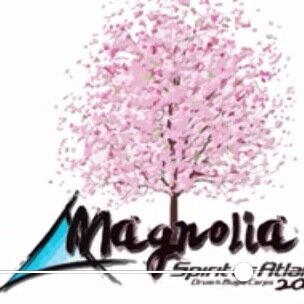 bandguardmomma's profile picture. 