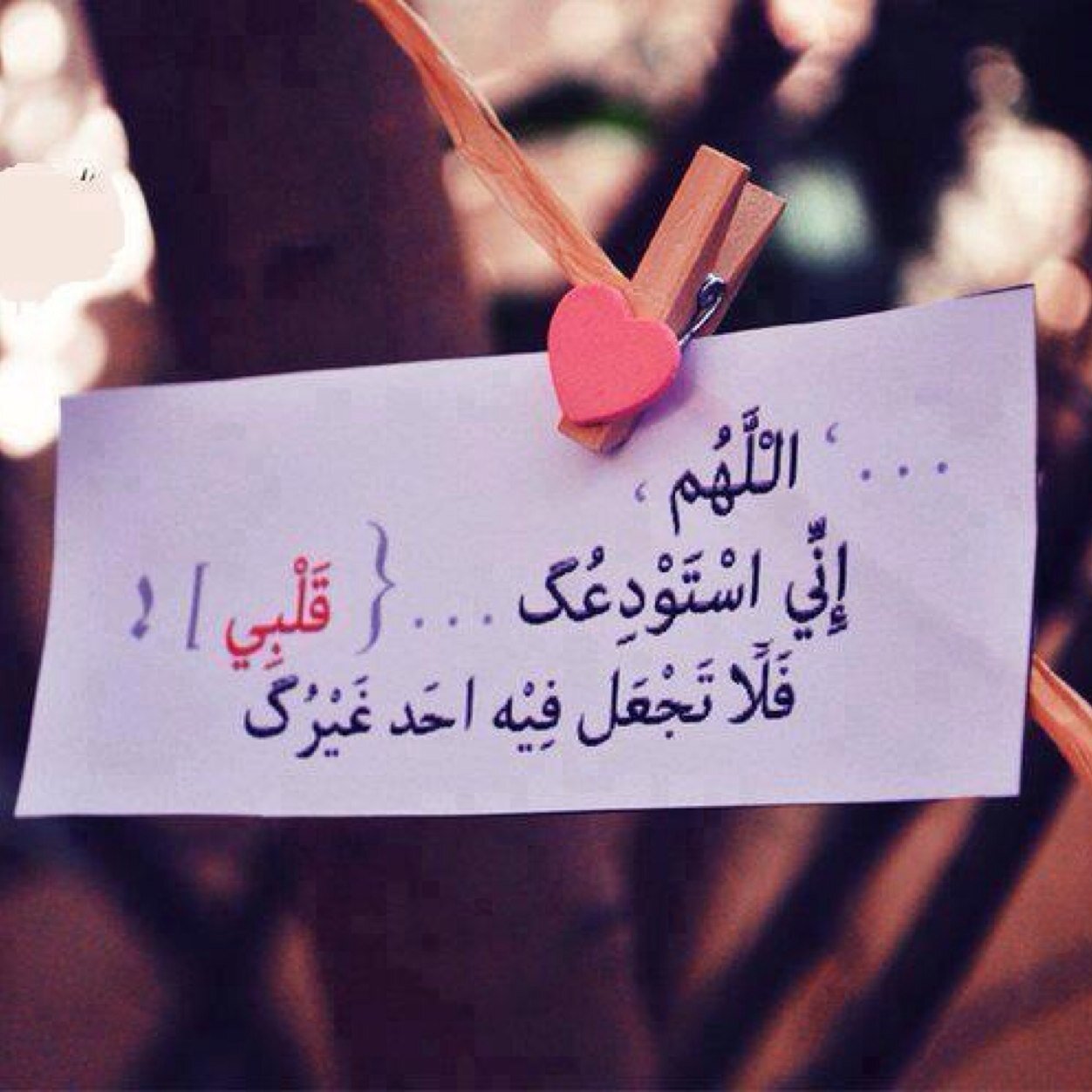 lnstagram:Huda1882.Huda20043 /Ask.fa:Huda1444