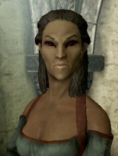 Y'know the purges the Thalmor never speak about? Yeah, the damnable bastards killed my family, now I live my life in slavitude.