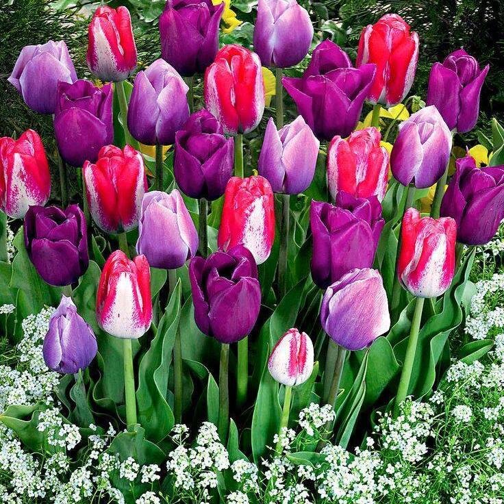 sanjaapostolov's profile picture. profesor poznavanja robe i hemijske grupe predmeta